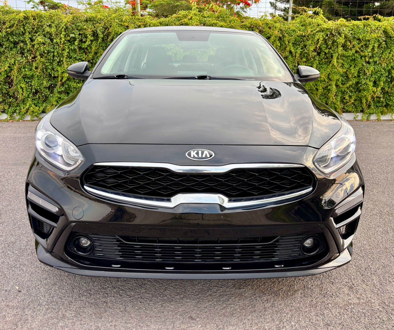 imagen_auto